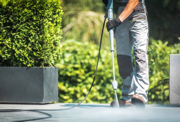 Best Residential Exterior Washing  in USA
